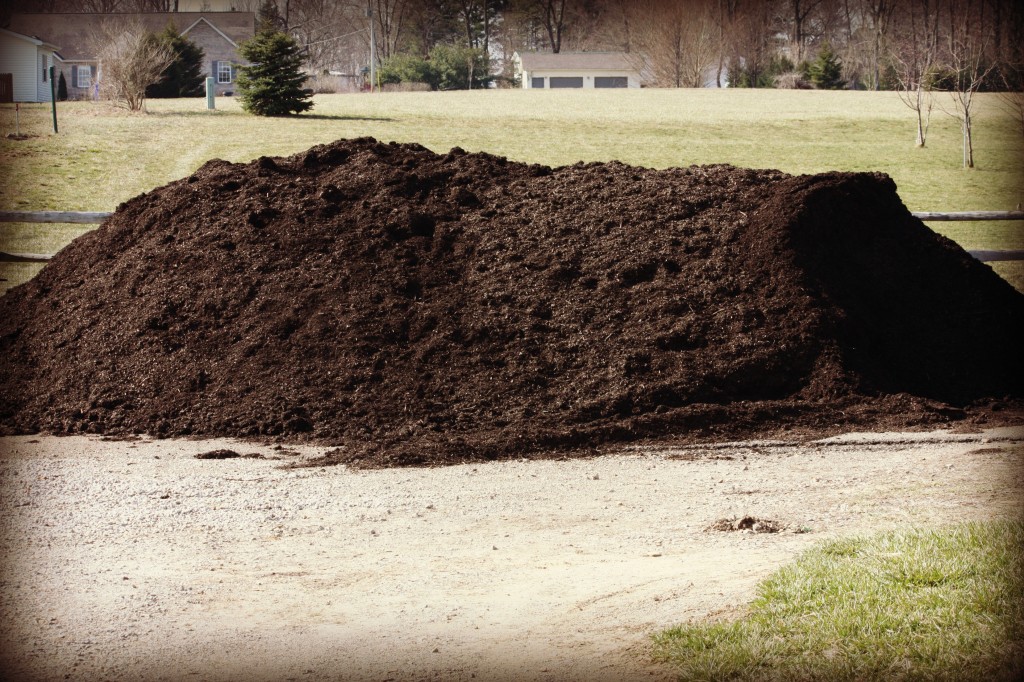 This is the mountain of mulch they have to move!