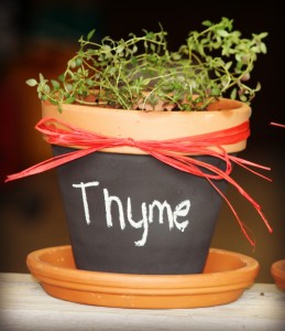 IMG_1162thyme